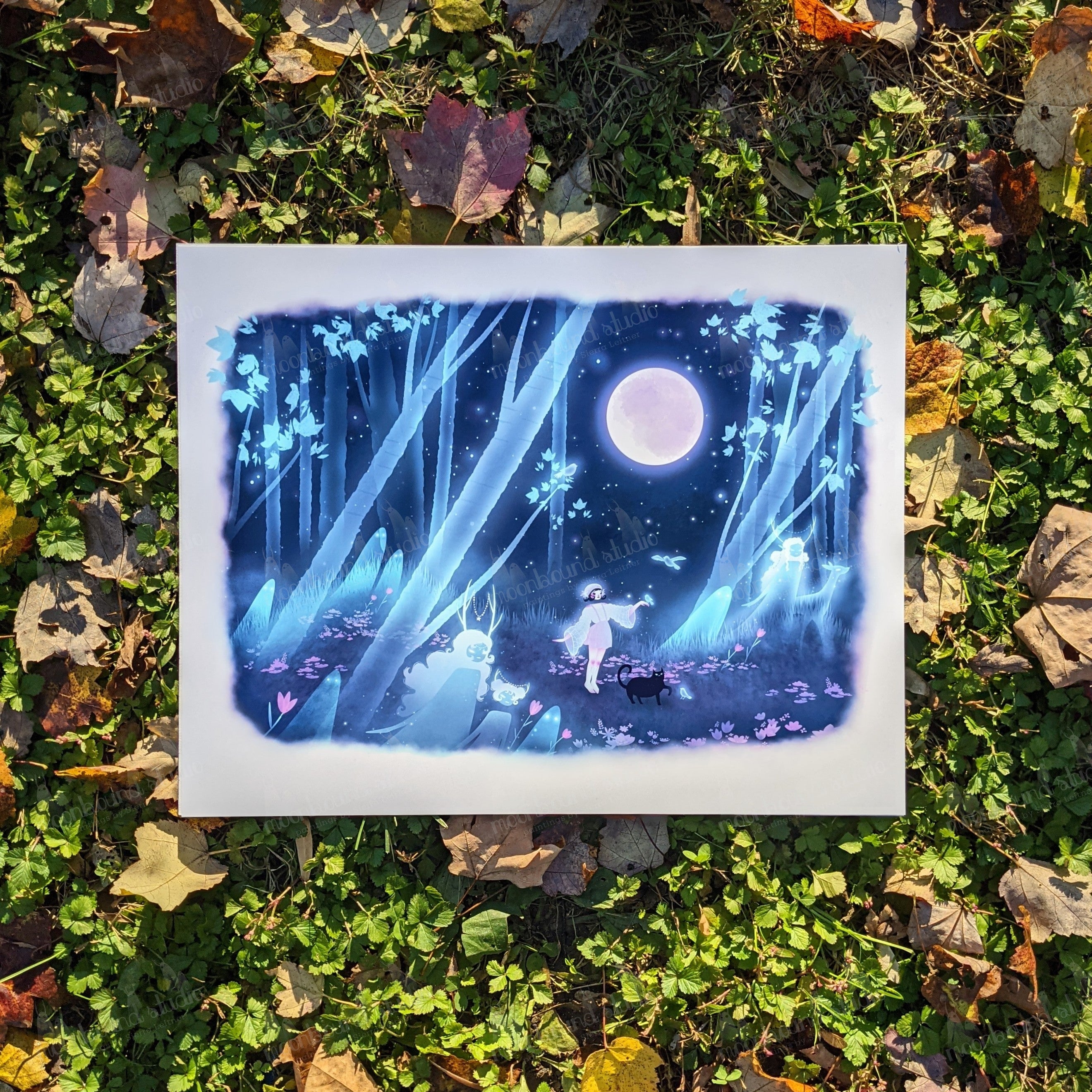 *Clearance*  12x12"Spirit Glade" Limited Edition Wall Art Print